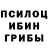 Галлюциногенные грибы прущие грибы loona rbx