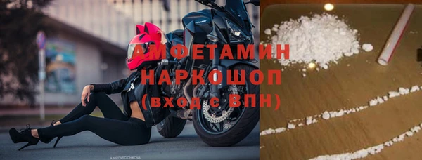 прущие грибы Армянск