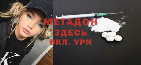 прущие грибы Армянск