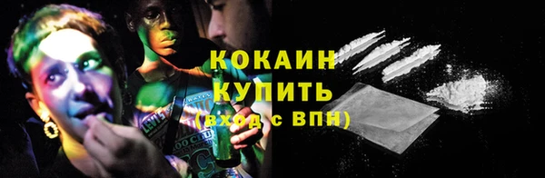 прущие грибы Армянск