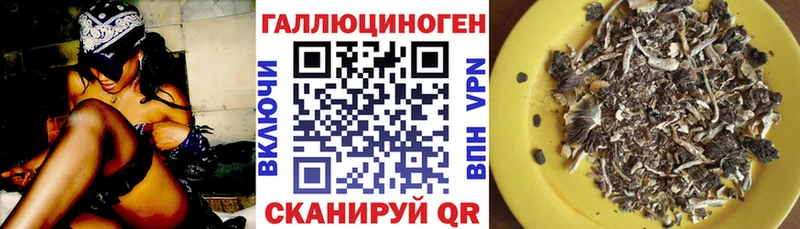 Псилоцибиновые грибы прущие грибы Осинники